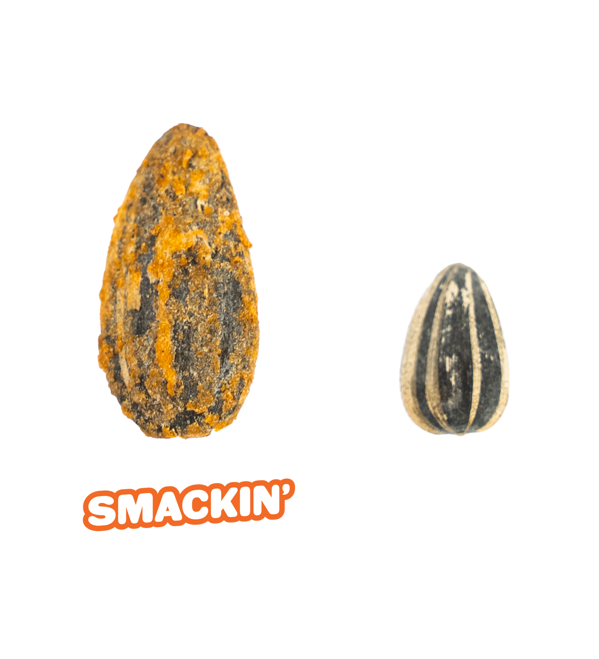 Digital graphic comparing a large, orange and yellow seasoned Smackin' brand sunflower seed to a smaller, plain striped sunflower seed labeled other brands, both with white size comparison brackets against a black background