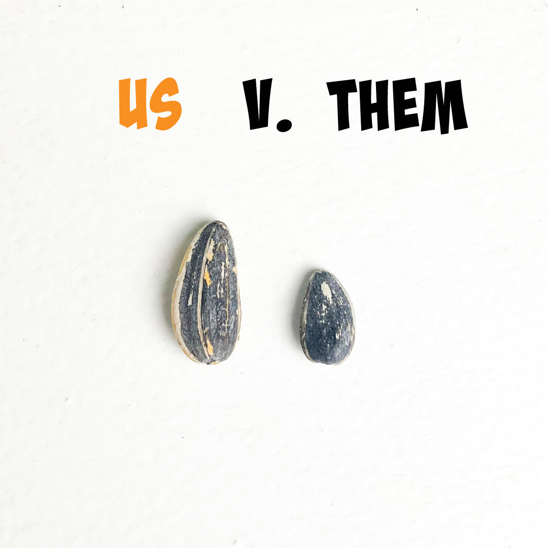 Photograph of two sunflower seeds on a white background, one larger with distinct white and black stripes, the other smaller and darker, beneath orange text "US" and black text "V. THEM"